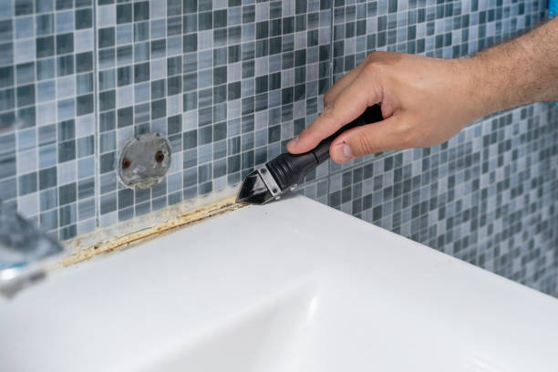 Best DIY Mold Remediation Support Services in Hidden Hills, CA