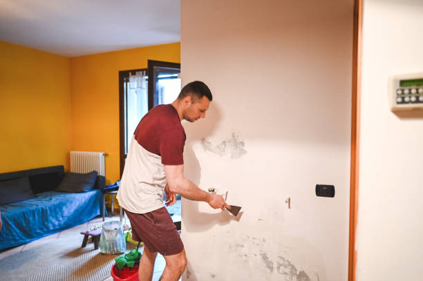 Best Residential Mold Remediation in Hidden Hills, CA